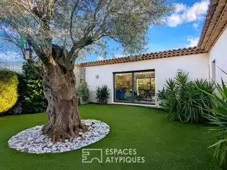 Contemporary Single-Story Villa