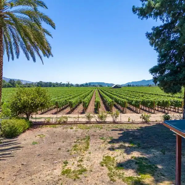 EXCEPTIONAL WINE COUNTRY OPPORTUNITY
