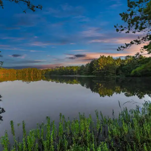 FISHING, RECREATION, AND OPPORTUNITY ON 30 SERENE ACRES