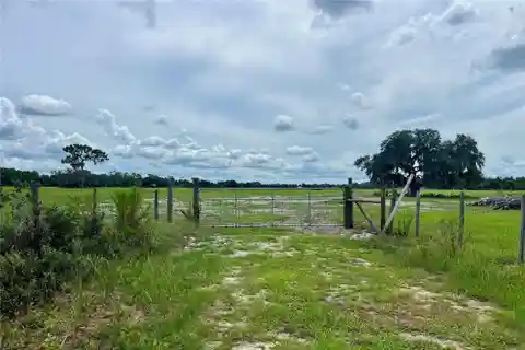 Two 40-Acre Parcels