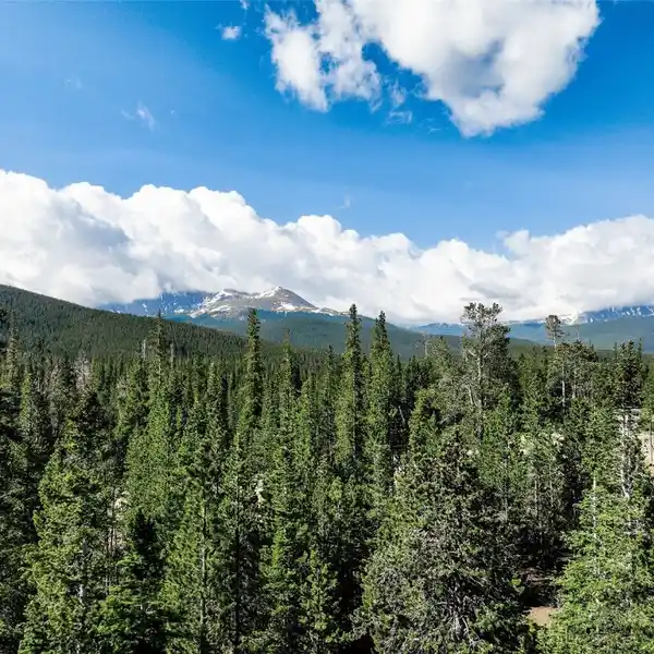 NINE ACRE HOMESTEAD WITHIN A PRESTIGIOUS GATED COMMUNITY