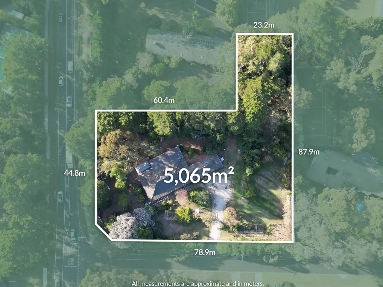 Large Image