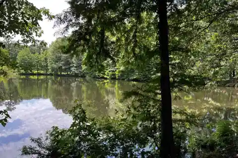 37 Spectacular Acres with Compound Potential