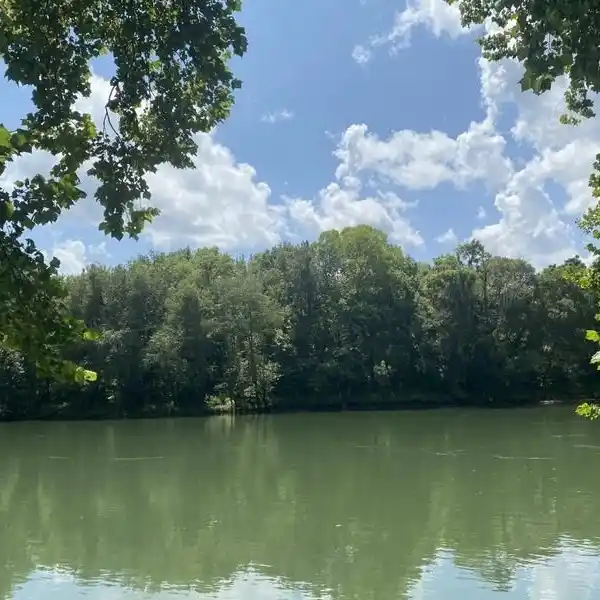 PRIME AGRICULTURAL LAND WITH SOYBEAN FIELDS AND RIVER VIEWS