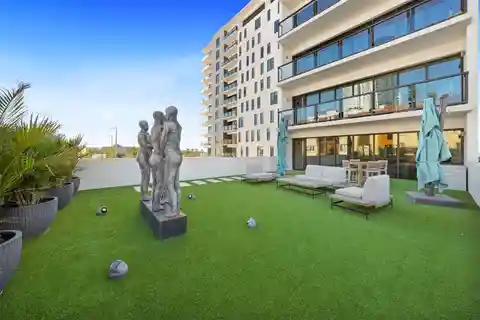 Special Opportunity at the Salvador