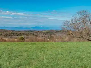 Centrally Located 101 Acres
