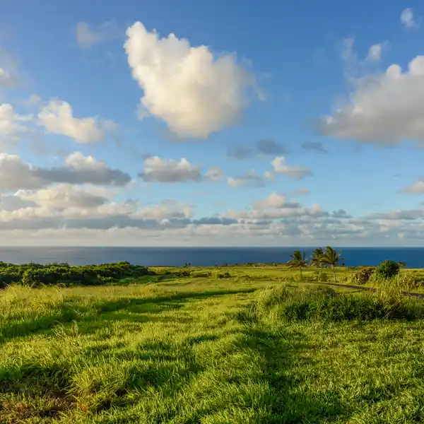 PRIVATE 15.6-ACRE LOT IN PE'AHI FARMS