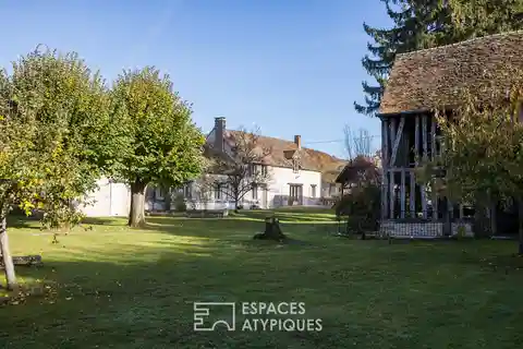 Exceptional Property of Timeless Beauty