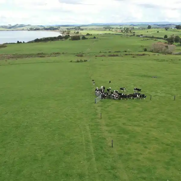 EXCEPTIONAL LAKEFRONT PROPERTY