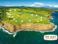 PRIME 13-PLUS ACRES IN PE'AHI FARMS