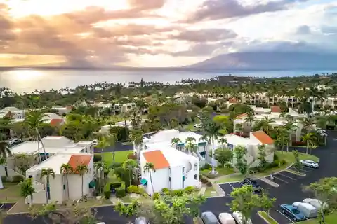 Tranquility on the Top Row of the Palms at Wailea