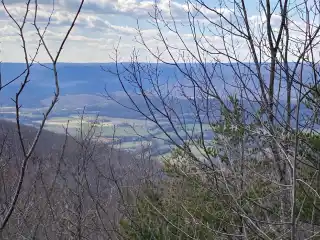 Incredible 10.8-acre Property