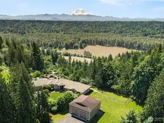 Incredible Custom Home on 4.6 Acres