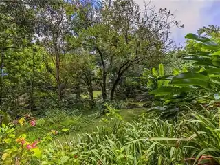 Beautiful Lot with Approved Building Plans