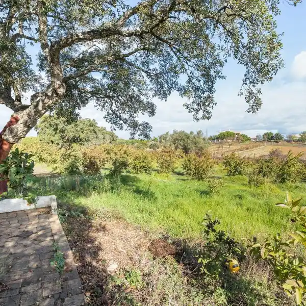 SPACIOUS VILLA WITH LARGE ORCHARD