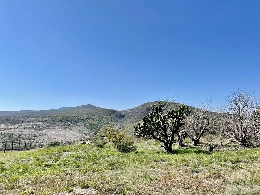 Small Image