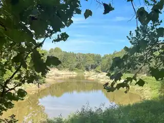 Rare Property on the Big Black River