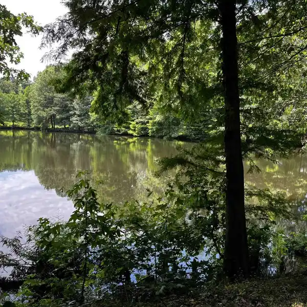 37 SPECTACULAR ACRES WITH COMPOUND POTENTIAL