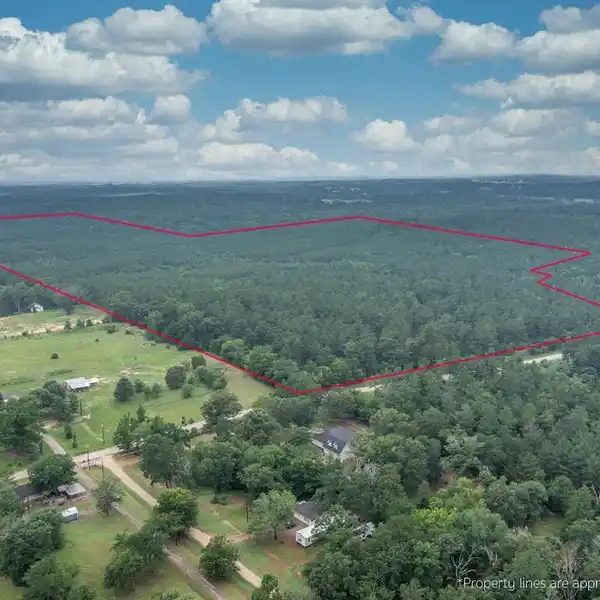 240 ACRES OF PRIME TIMBERLAND
