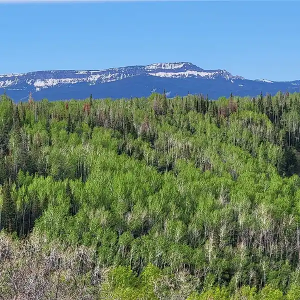 ONE OF THE MOST BREATHTAKING PARCELS IN ROUTT COUNTY