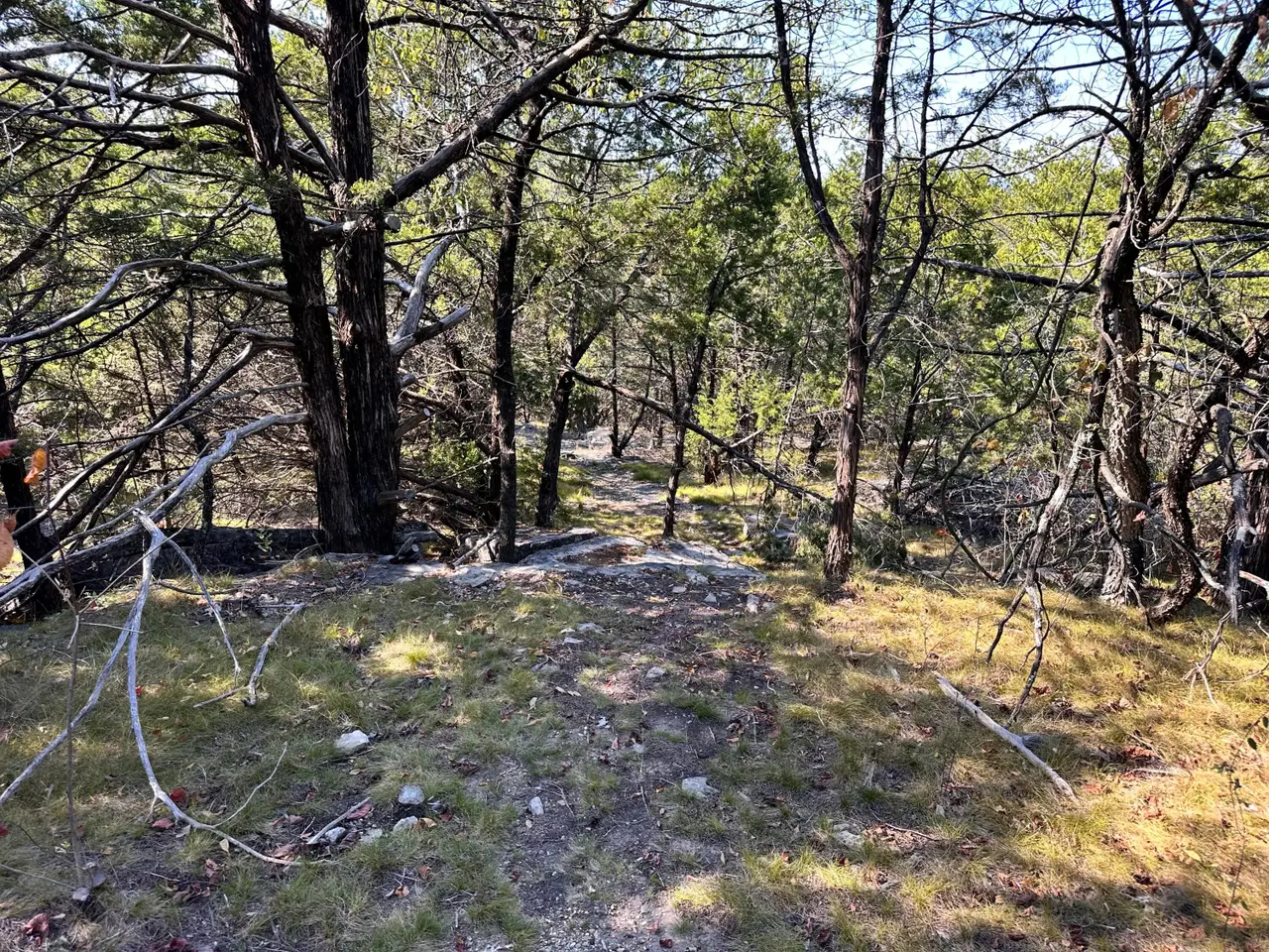 Small Image