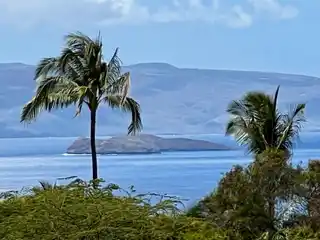 Expansive Wailea Lot with Breathtaking Ocean Views