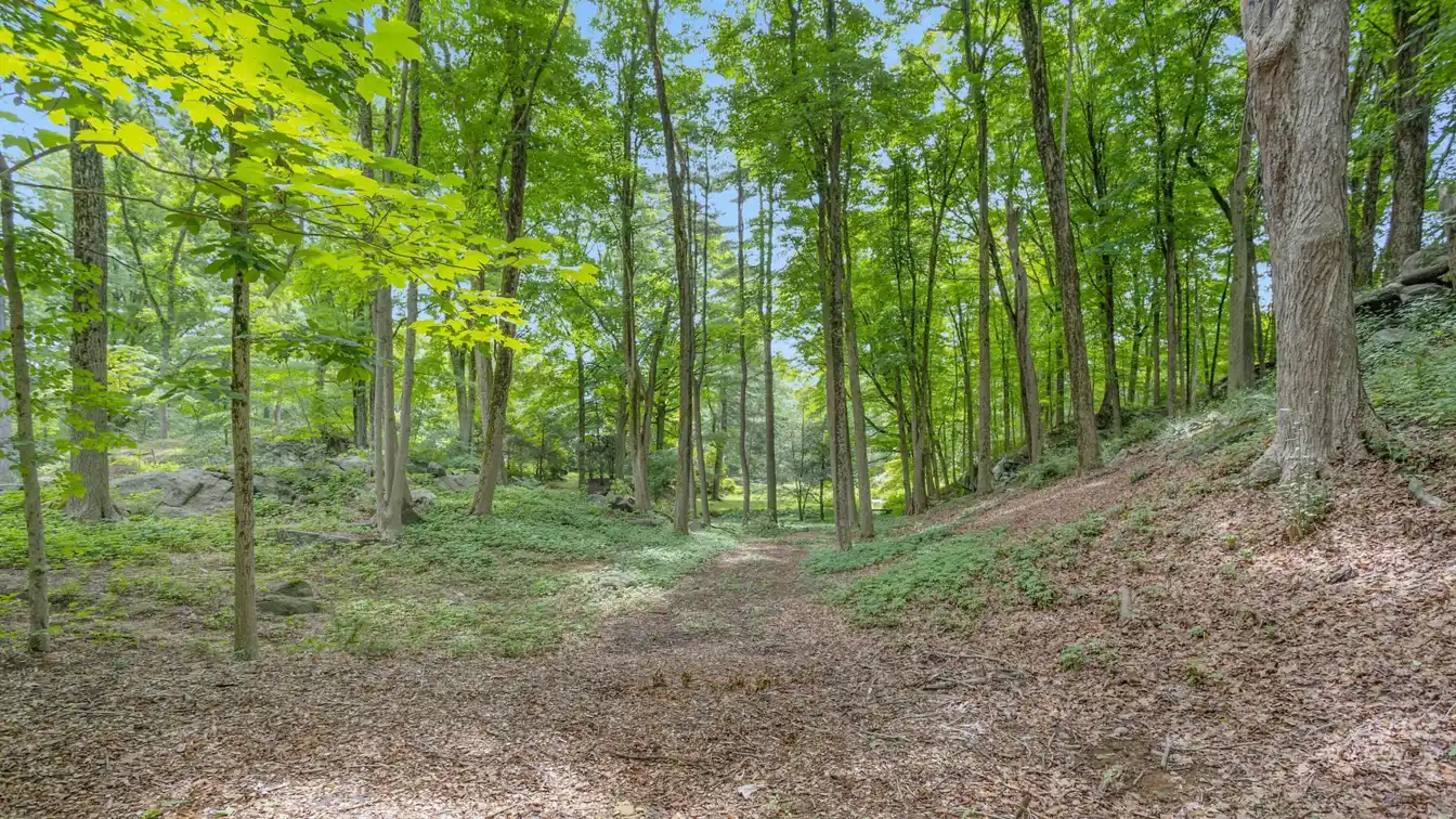 Nearly Two Acres in a Superb Location