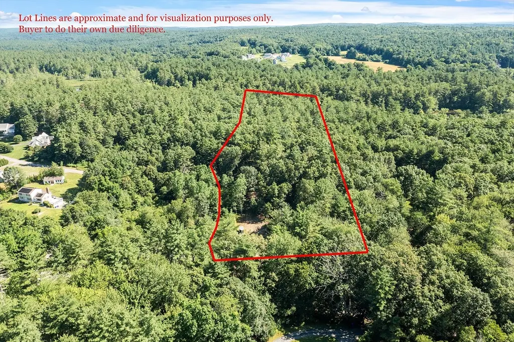 Large Image