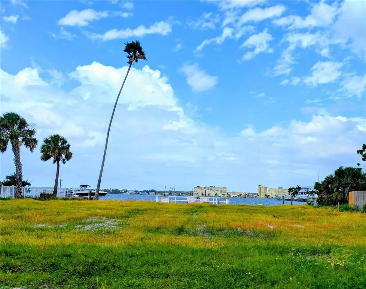 Large Image