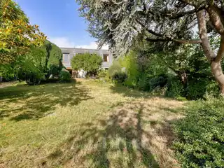 Architect-Designed Property on a Beautiful Street