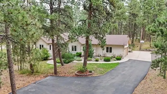 Large Image