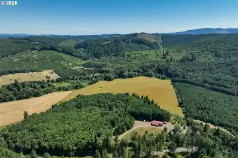 Flying W Ranch