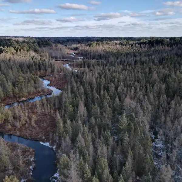 430 ACRES OF PRIVACY