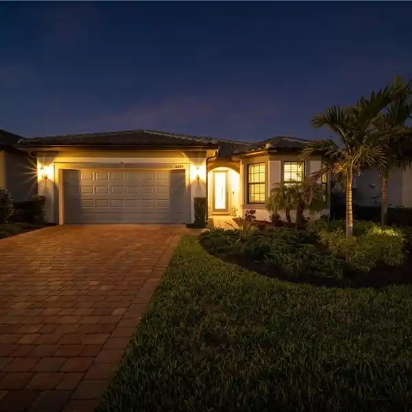 WINDING CYPRESS BEAUTY