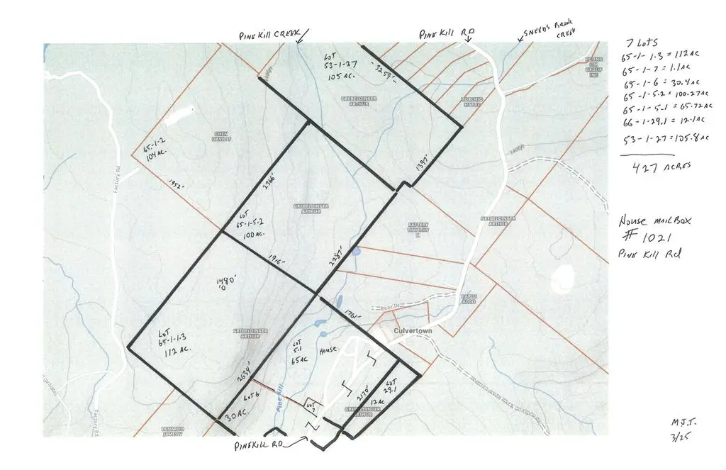 Large Image