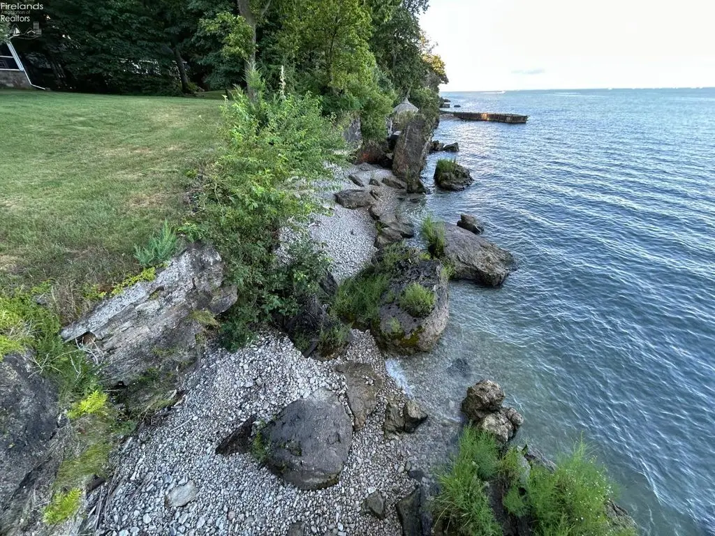 Large Image