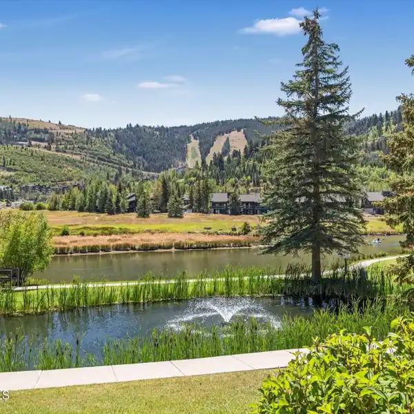 SPECIAL FAWNGROVE CONDO