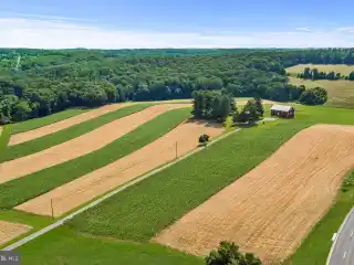 Farm