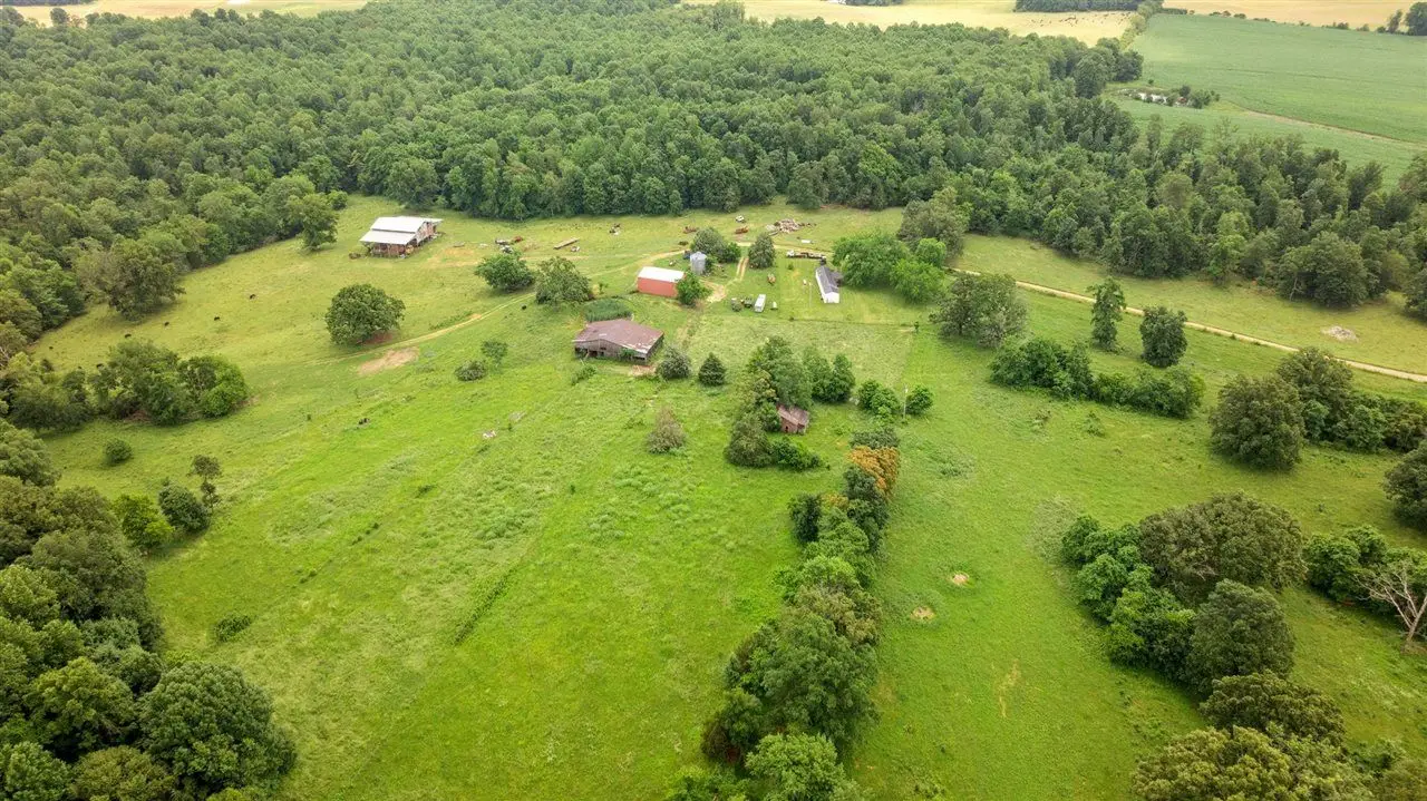 Large Image