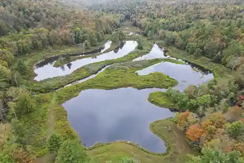 Fabulous 220-Acre Property