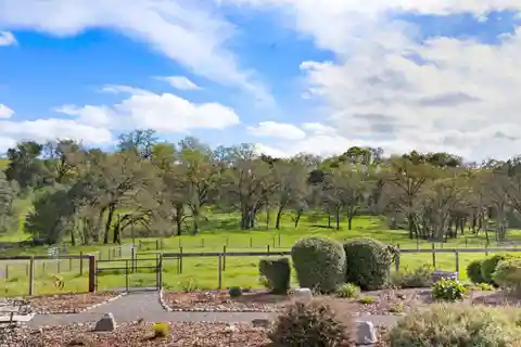 Single-story Ranch Home with Wonderful Meadow Views