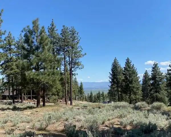 EXPANSIVE HOMESITE AT CLEAR CREEK TAHOE