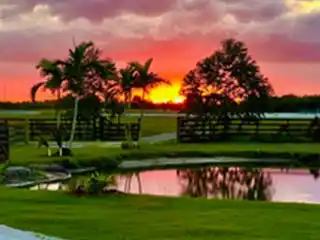 Equestrian Elegance on 8.42 Acres