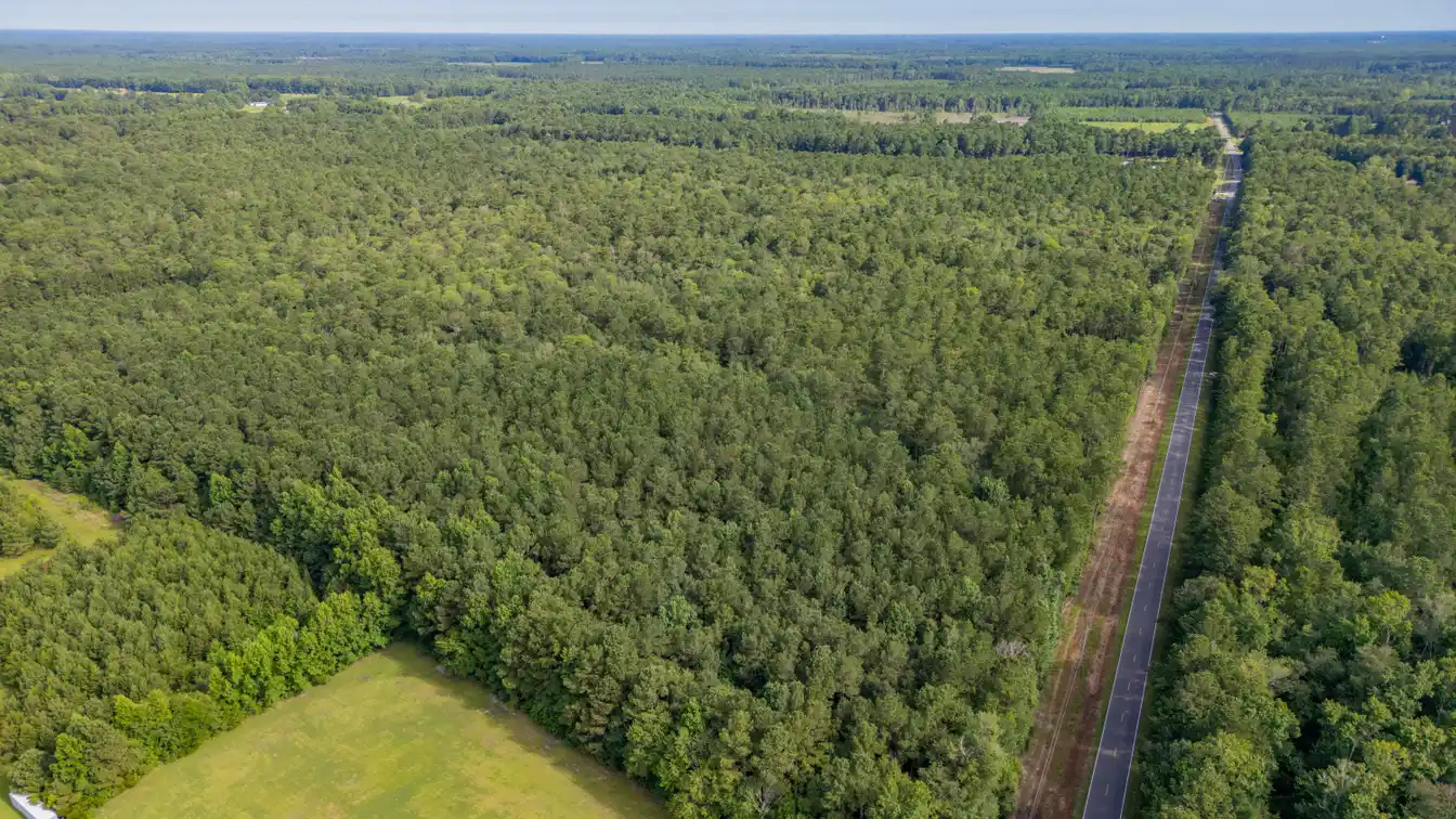 Prime Estate Land on over Forty Acres