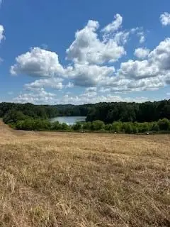 Large Image