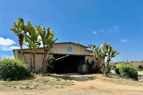 Vibrant Equestrian Oasis