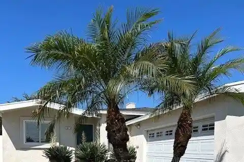 Charming Home on a Beautiful Tree-Lined Lot