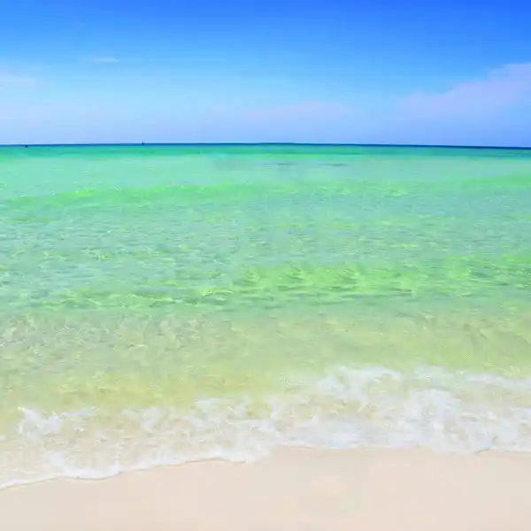 PARKSIDE AT THE HENDERSON BEACH RESORT