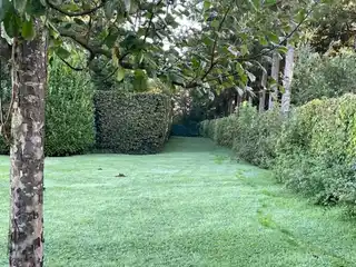 Beautiful Building Plot