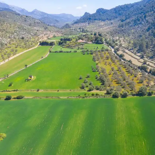 FANTASTIC PROPERTY IN ORIENT